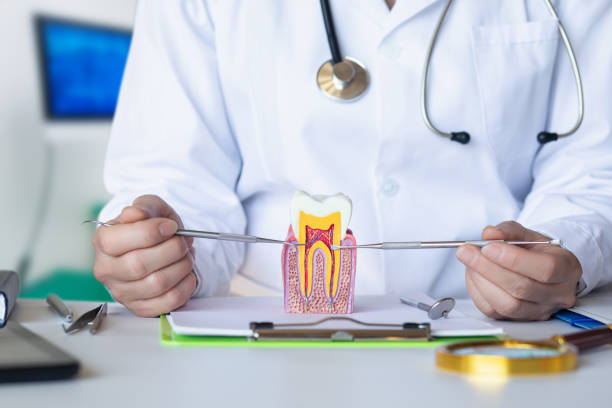 Best Dentist for Tooth Abscess  in Waterman, IL